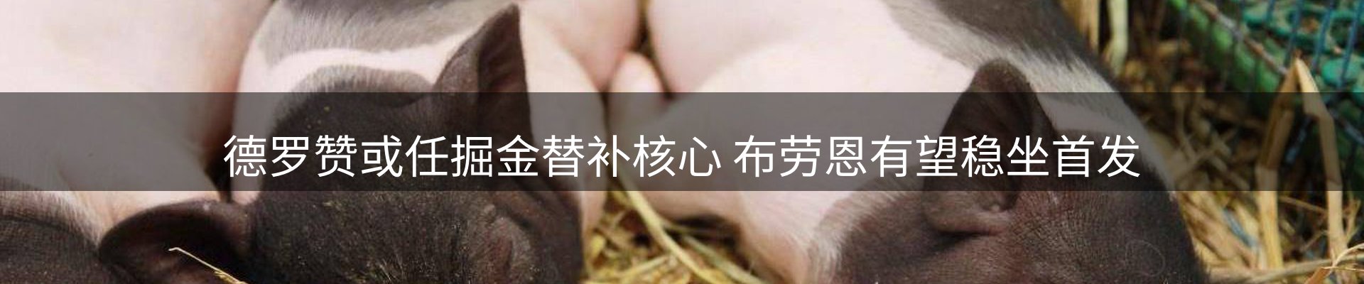 赛事资讯